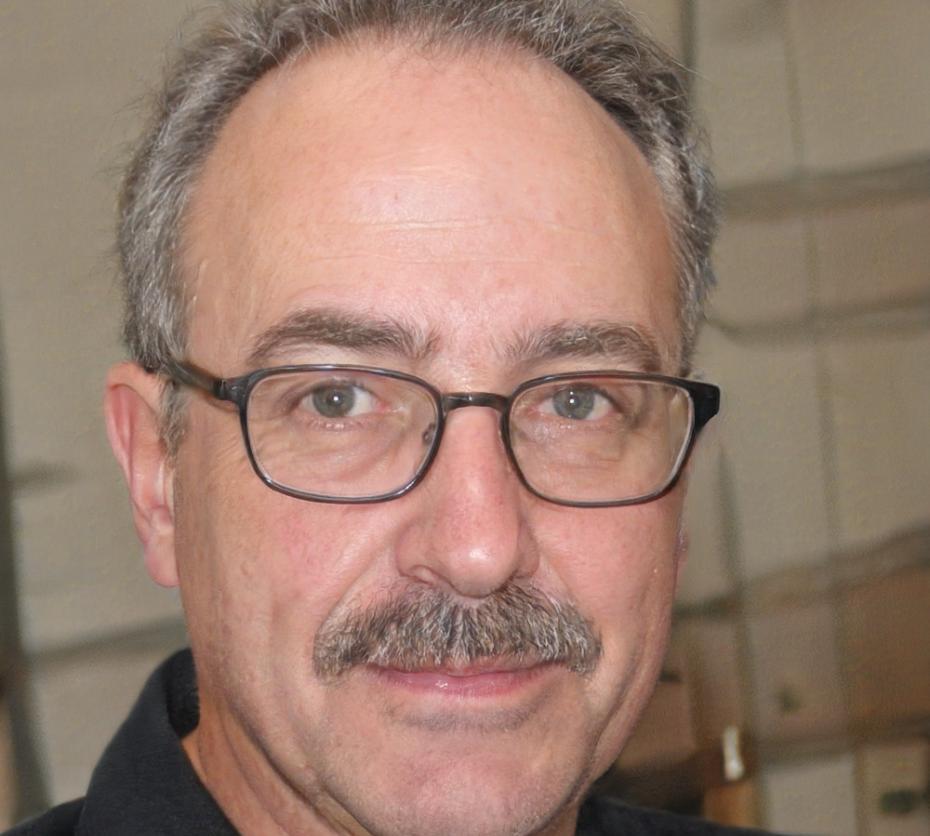 Ritratto professionale di Dario Pellegrini